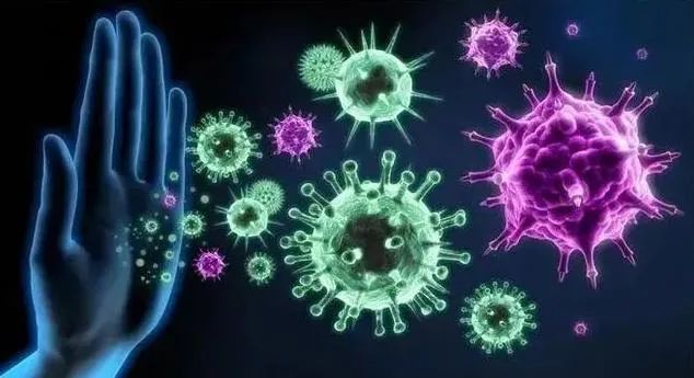 70岁VS 20岁，一起看看他们的免疫细胞究竟什么区别？