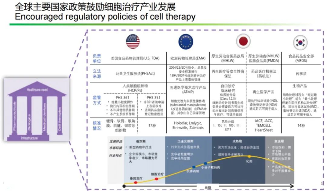 全球细胞治疗产业发展现状