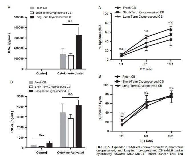冻存10年的NK细胞还有活性吗？来看看外周血和脐带血来源的NK细胞的对比