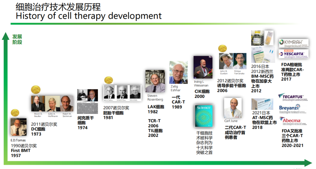 全球细胞治疗产业发展现状