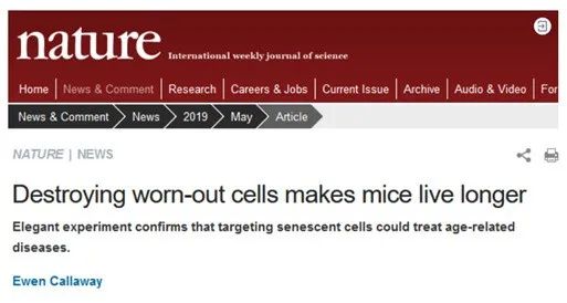 国际权威期刊：衰老的根源是细胞，干细胞是抗衰新宠