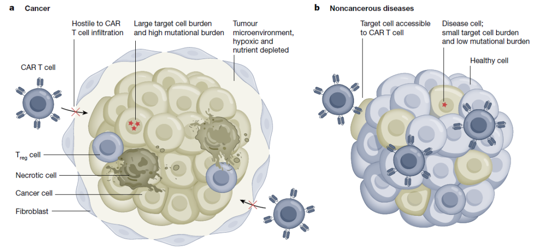 CAR-T之父最新Nature文章：超越癌症，活细胞药物的进化之路