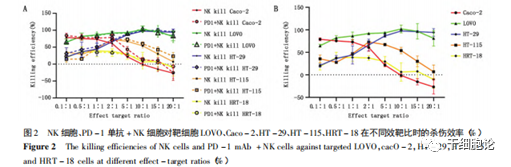 细胞科普|NK细胞是如何识别和杀伤肿瘤细胞的