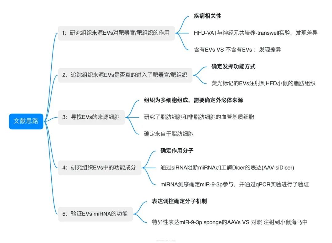 敲黑板啦，IF=31.373组织外泌体研究模板来了！