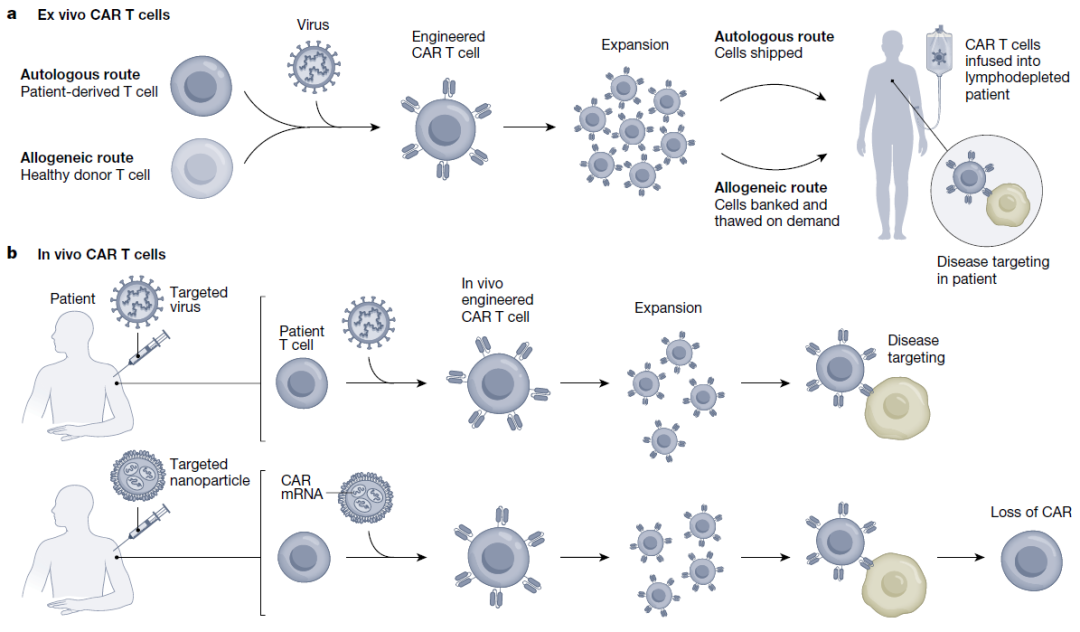 CAR-T之父最新Nature文章：超越癌症，活细胞药物的进化之路