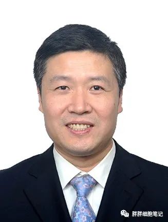 武汉同济|人脐带间充质干细胞治疗早发性卵巢功能不全的安全性和有效性临床研究