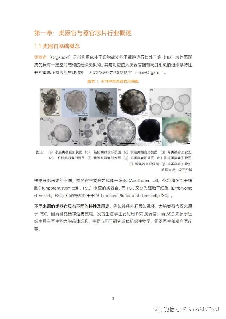 抢先看！类器官与器官芯片行业白皮书    全球49家企业的未来