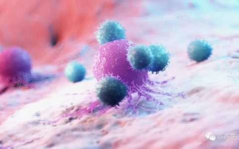免疫细胞是什么？它都分为哪些种类？