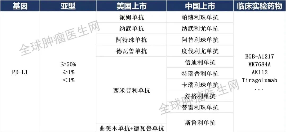 45款肺癌已上市的靶向、免疫药物信息大全（2023）