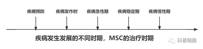 输完干细胞效果如何？这几点是关键因素