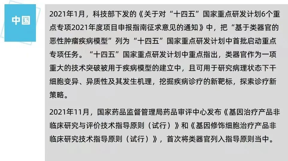 2023类器官行业报告：从器官模拟到类器官智能，类器官技术落地场景知多少？