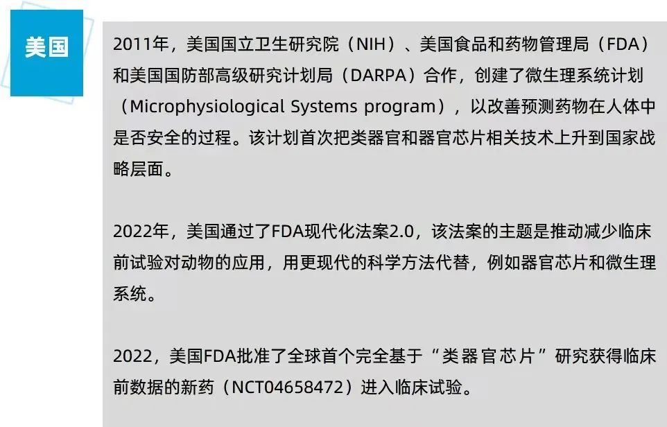 2023类器官行业报告：从器官模拟到类器官智能，类器官技术落地场景知多少？