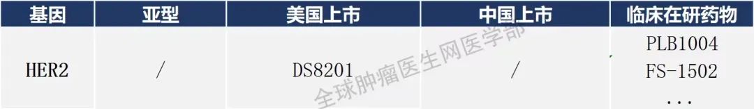 45款肺癌已上市的靶向、免疫药物信息大全（2023）