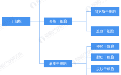 中国干细胞医疗产业全景图谱