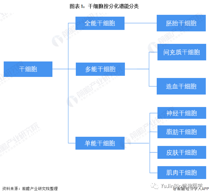 中国干细胞医疗产业全景图谱