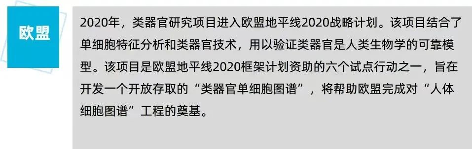 2023类器官行业报告：从器官模拟到类器官智能，类器官技术落地场景知多少？