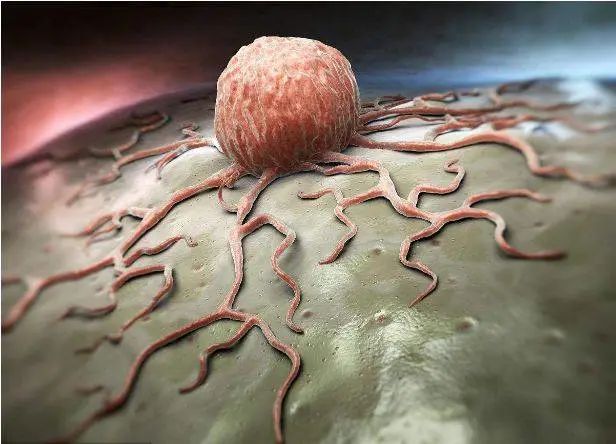 癌症化疗效果不明显？细胞免疫疗法联合化疗，更好的抗肿瘤疗效