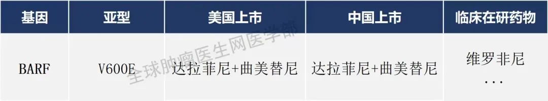 45款肺癌已上市的靶向、免疫药物信息大全（2023）