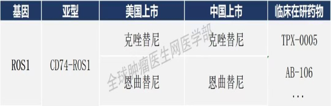 45款肺癌已上市的靶向、免疫药物信息大全（2023）