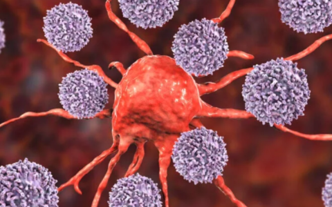 钱其军：免疫细胞完全有能力清除体内的癌细胞！