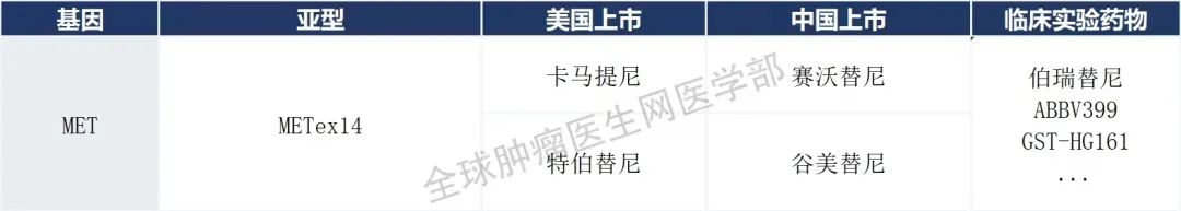 45款肺癌已上市的靶向、免疫药物信息大全（2023）