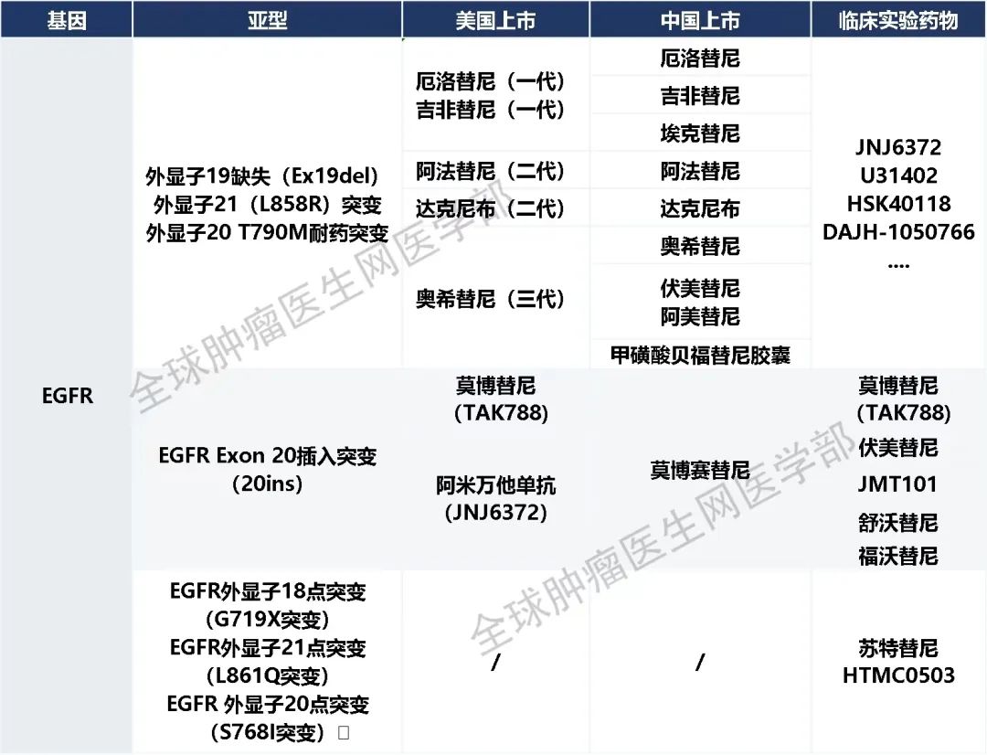 45款肺癌已上市的靶向、免疫药物信息大全（2023）