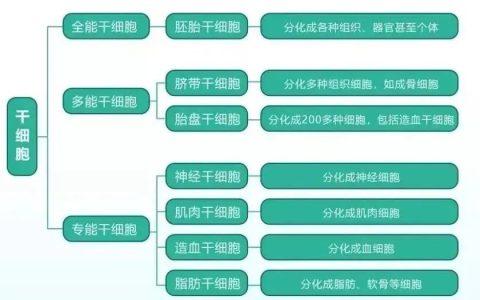 【细胞科普】干细胞问题大整理