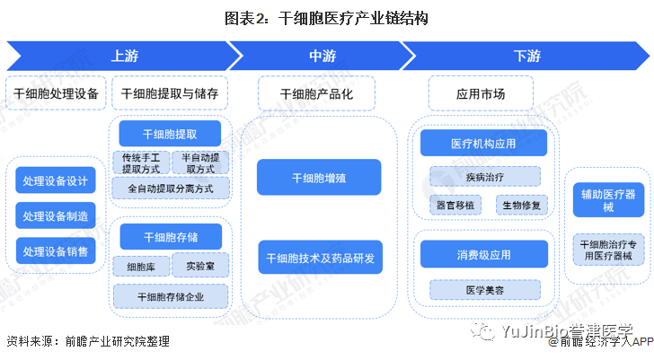 中国干细胞医疗产业全景图谱