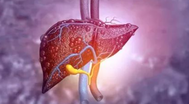关于间充质干细胞治疗肝衰竭的六问六答