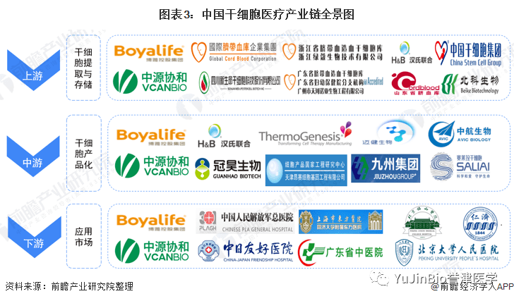 中国干细胞医疗产业全景图谱