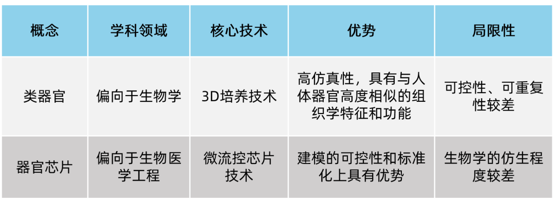 2023类器官行业报告：从器官模拟到类器官智能，类器官技术落地场景知多少？