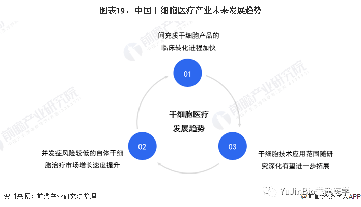 中国干细胞医疗产业全景图谱