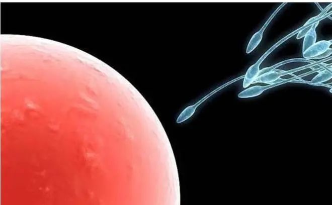 逆转更年期！干细胞解决卵巢早衰和提前闭经问题
