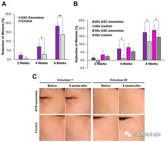 外泌体：肌肤再生美白的非凡再生力量