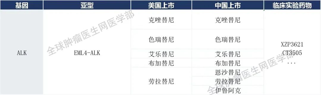 45款肺癌已上市的靶向、免疫药物信息大全（2023）