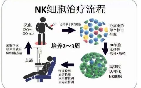 细胞前沿丨NK细胞免疫疗法，人体的生命抗衰密码