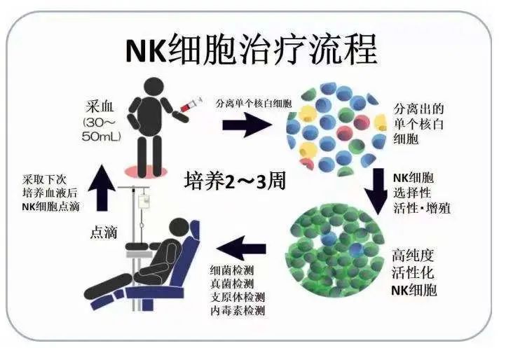 细胞前沿丨NK细胞免疫疗法，人体的生命抗衰密码