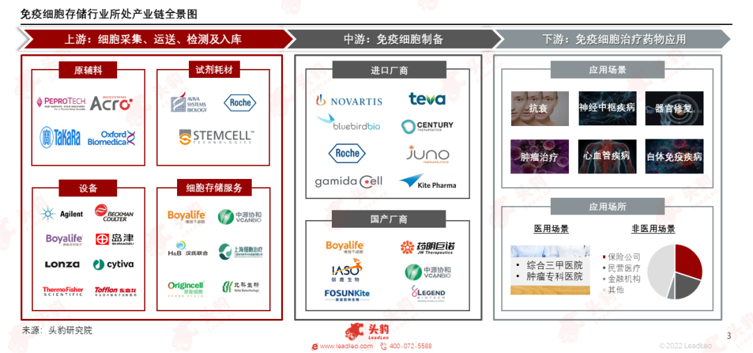 头豹研究院发布《2023年中国免疫细胞存储行业研究报告》