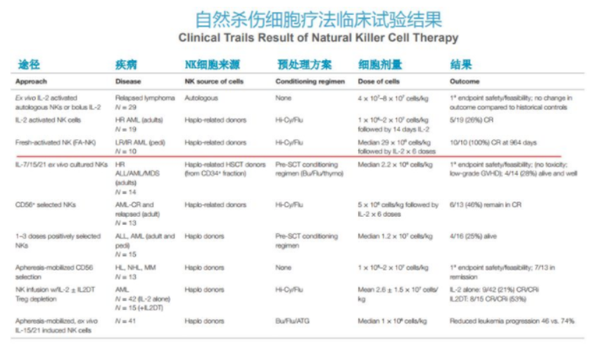 NK细胞看这一篇就够了 | 人体先天免疫细胞的核心，防癌、抵御病毒、抗衰老