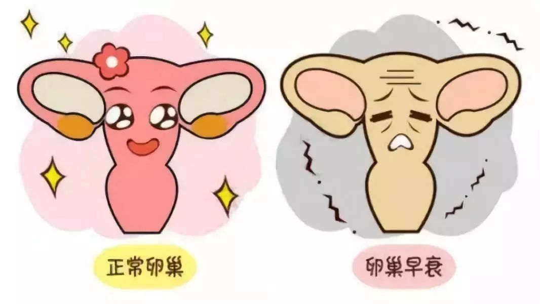 【案例集锦】干细胞抗衰抗疾病，震撼人心的十个真实案例！