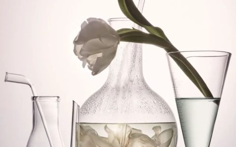 ELLE | 关于外泌体疗法及其益处您需要了解的一切