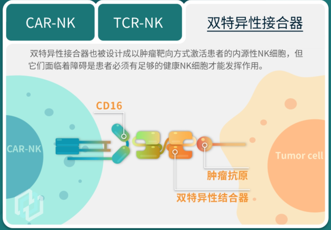 图解实体瘤克星——NK细胞疗法