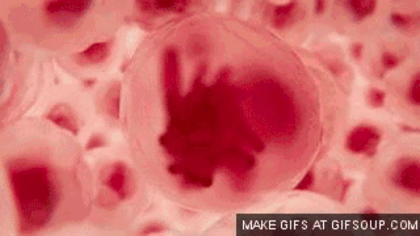 再生医学新时代丨干细胞技术实现人造器官修复与再生！
