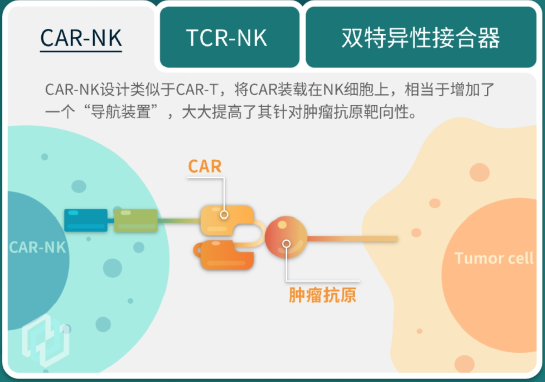 图解实体瘤克星——NK细胞疗法