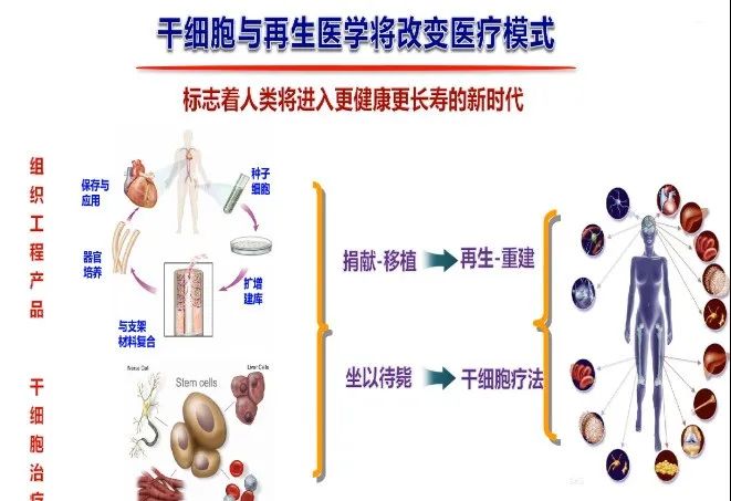 干细胞治疗肿瘤性疾病的临床典型病例