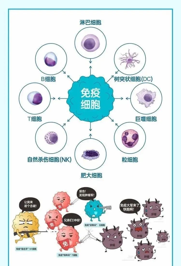 20岁和70岁的免疫细胞区别，回输健康细胞，给自己的身体保驾护航！