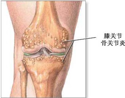 【案例集锦】干细胞抗衰抗疾病，震撼人心的十个真实案例！