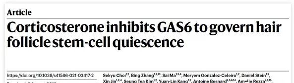 脱发人士乐开了花，干细胞治疗脱发大获成功，再也不用秃头了！