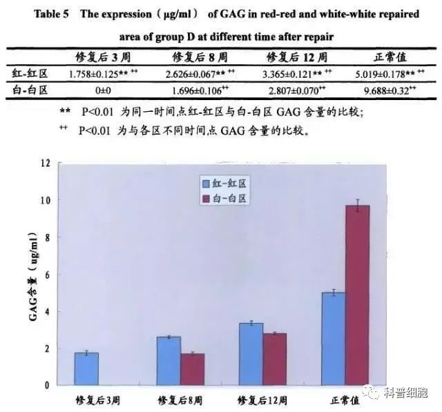 干细胞技术干预半月板损伤临床效果显著
