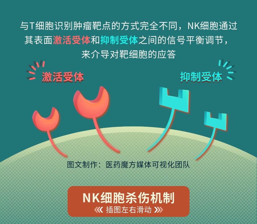 图解实体瘤克星——NK细胞疗法